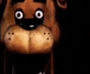 Freddy